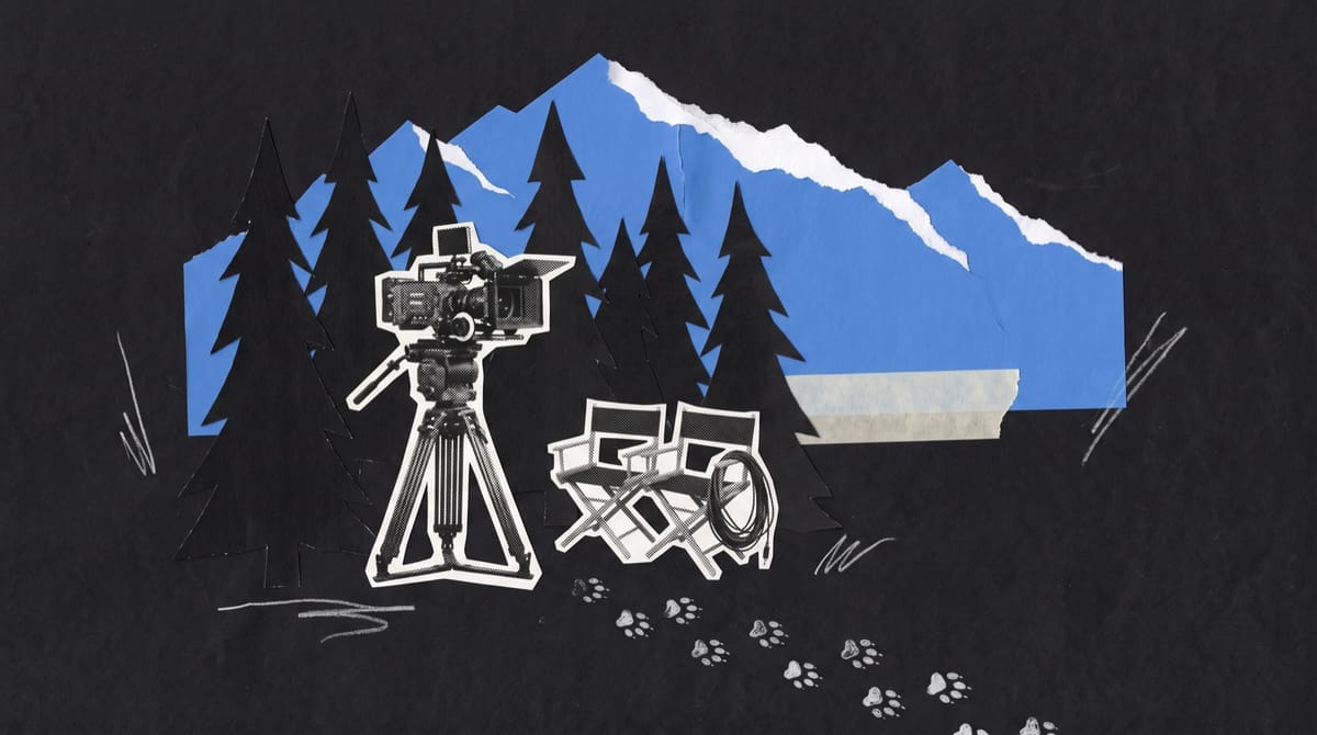 Collage of a cinema camera on a tripod in a spruce clearing beside folded chairs and a cable, with blue paper mountains and pencil paw prints behind.