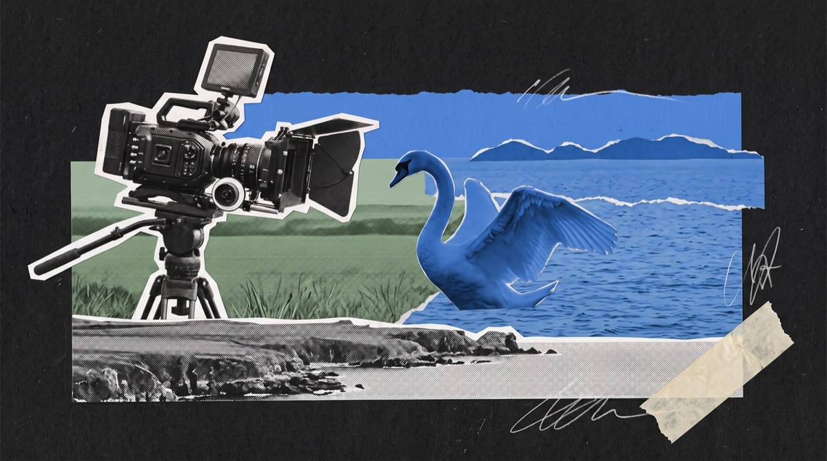 Paper collage of a film camera on a tripod in a field above the coast, facing a blue paper swan rising from the sea before blue island hills.